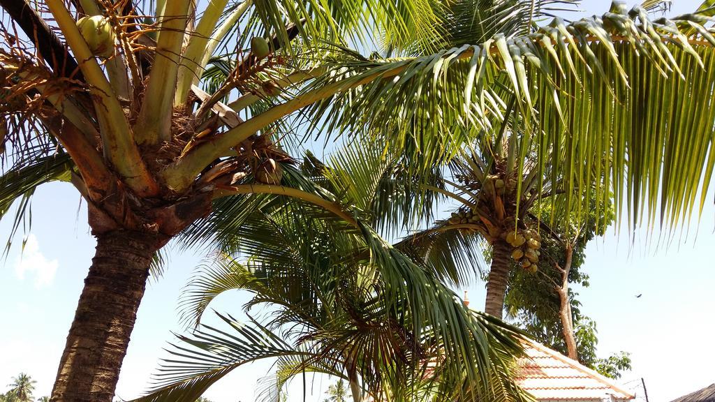 Niya Nest Homestay Kochi Kültér fotó